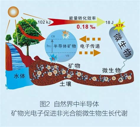 能量的形式|能量